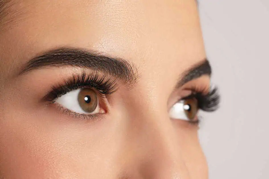 Close-up of a woman's face showing brown eyes, long curled eyelashes and defined arched eyebrows with subtle makeup.